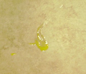 Nobody's perfect, and neither is the good wife, who foolishly seperated her eggs several feet from the bowl.