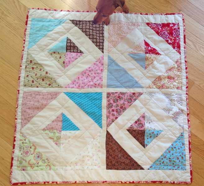 Fisheyes and Magpies